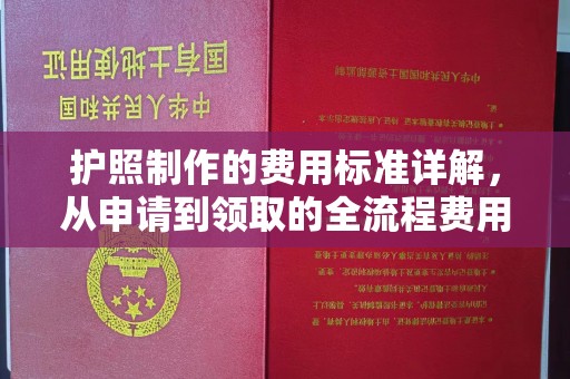 公安护照制作的费用标准详解，从申请到领取的全流程费用指南