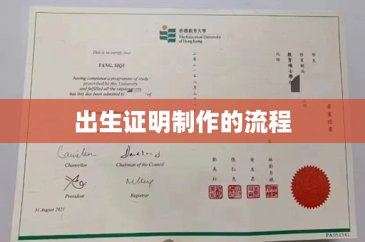 公安出生证明制作的流程