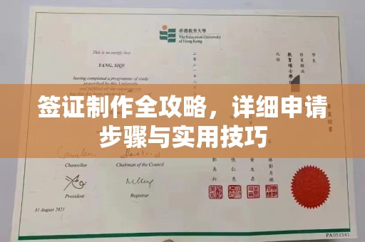 公安签证制作全攻略，详细申请步骤与实用技巧